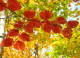 img0015.jpg