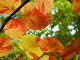img0017.jpg