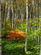 img0019.jpg
