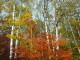 img0021.jpg