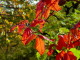 img0022.jpg
