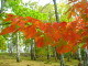img0023.jpg