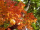 img0025.jpg