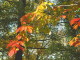 img0026.jpg