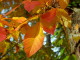 img0027.jpg