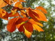 img0028.jpg