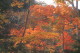 img0039.jpg