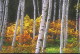 img0056.jpg