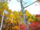 img0058.jpg