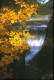 img0063.jpg