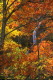 img0065.jpg