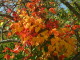 img0073.jpg