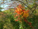 img0074.jpg