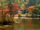 img0075.jpg