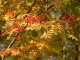 img0087.jpg