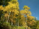 img0088.jpg