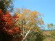 img0090.jpg