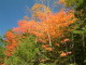 img0092.jpg