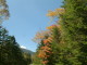 img0093.jpg