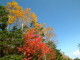 img0094.jpg
