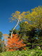img0095.jpg
