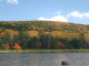 img0098.jpg