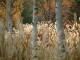 img0100.jpg