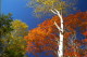 img0102.jpg