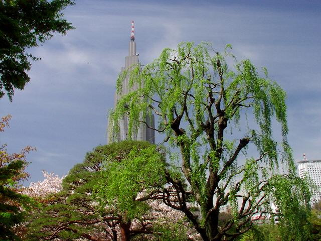 img0008.jpg