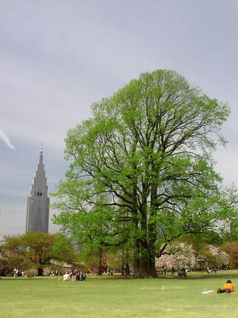 img0009.jpg