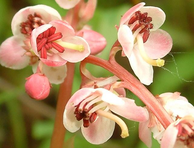 img0014.jpg