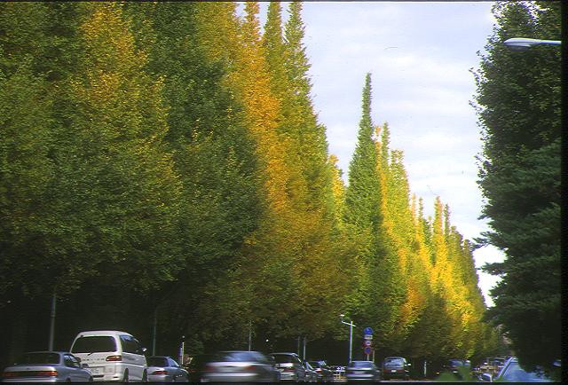 img0016.jpg