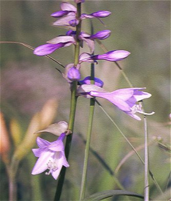 img0021.jpg