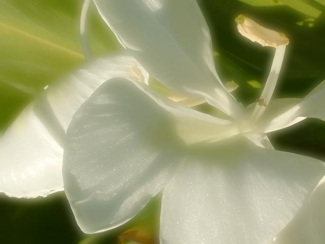 img0022.jpg