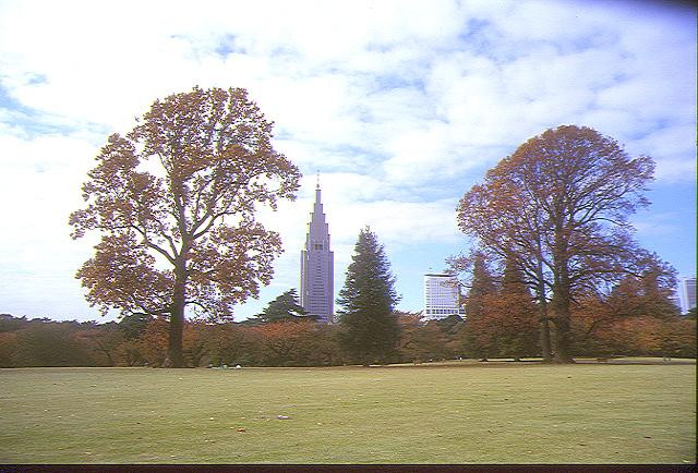 img0030.jpg