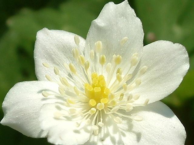 img0034.jpg