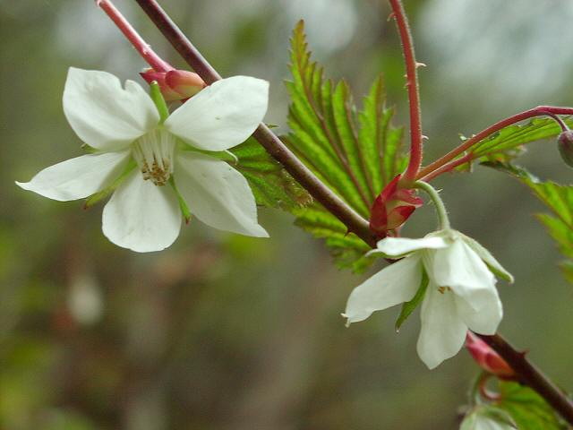 img0041.jpg