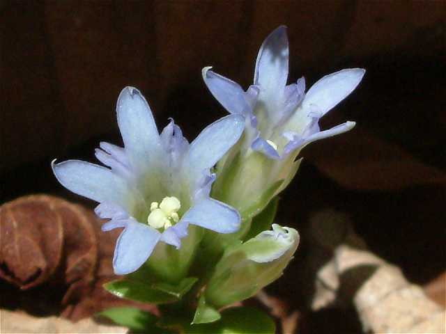 img0046.jpg