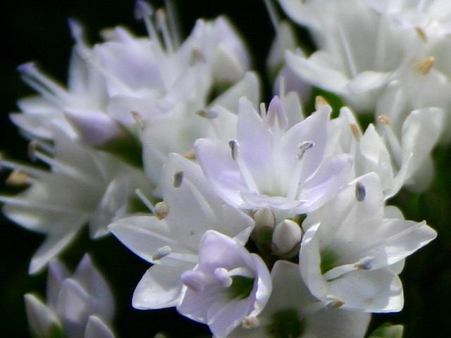 img0048.jpg