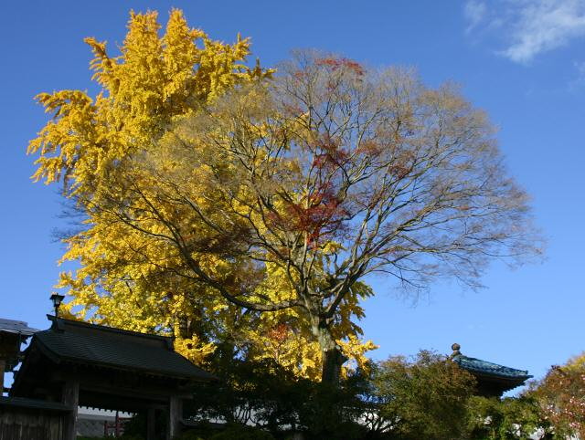 img0053.jpg