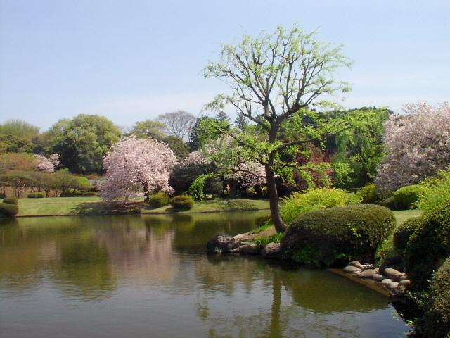 img0054.jpg