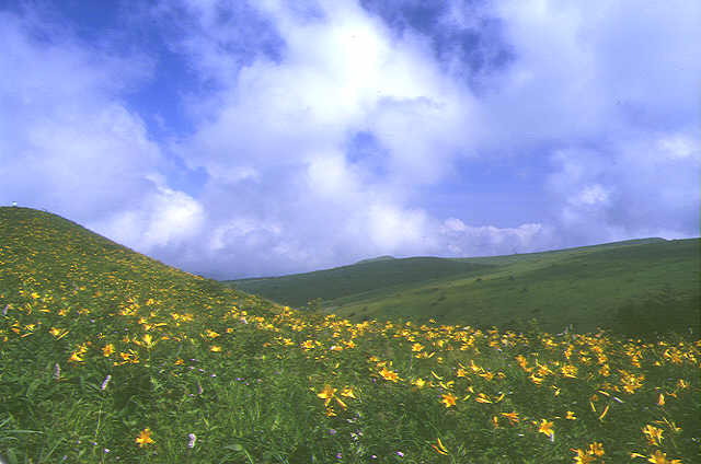 img0066.jpg