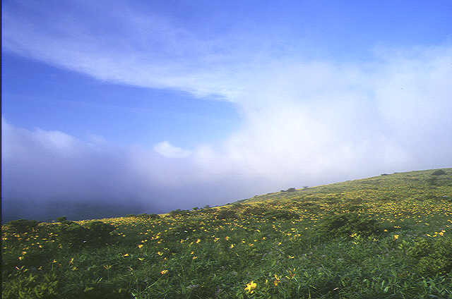 img0074.jpg