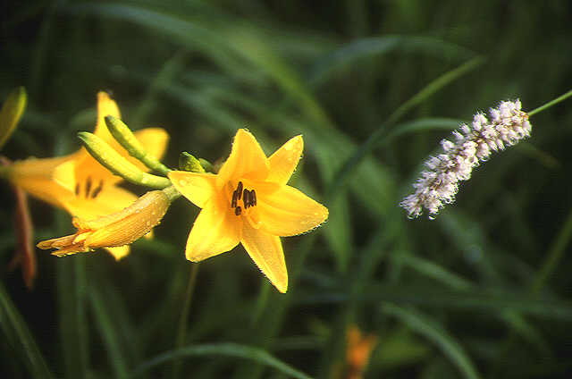 img0075.jpg