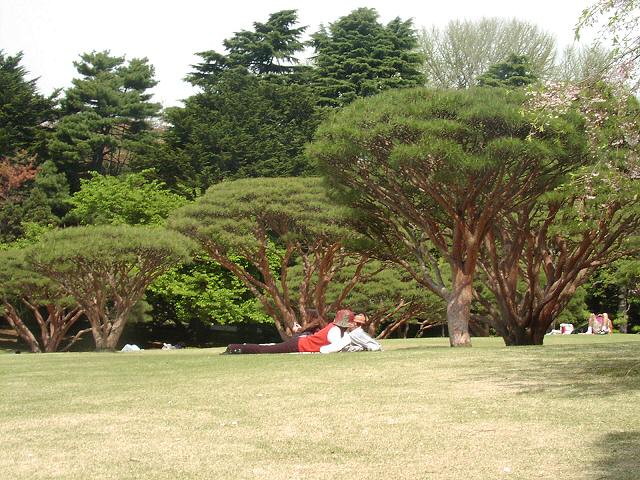 img0092.jpg