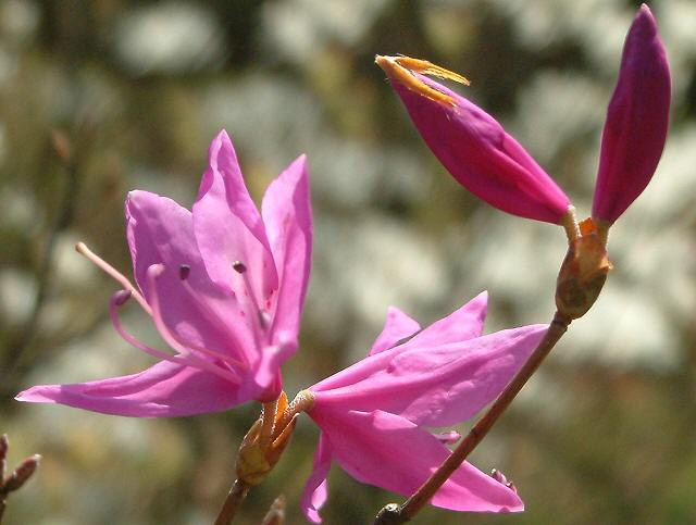 img0094.jpg
