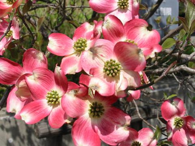 img0099.jpg
