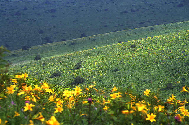 img0106.jpg