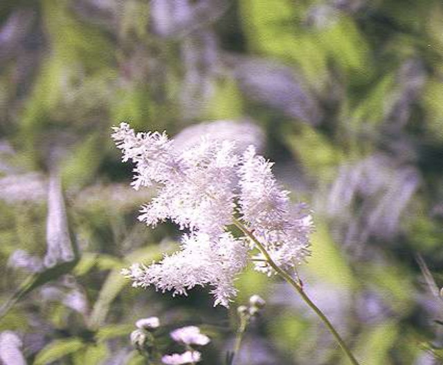 img0107.jpg