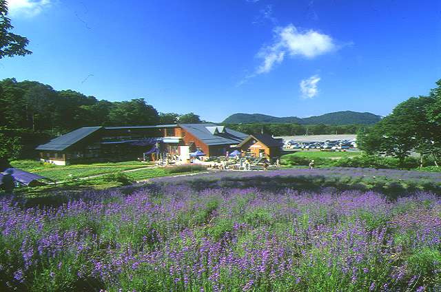 img0108.jpg